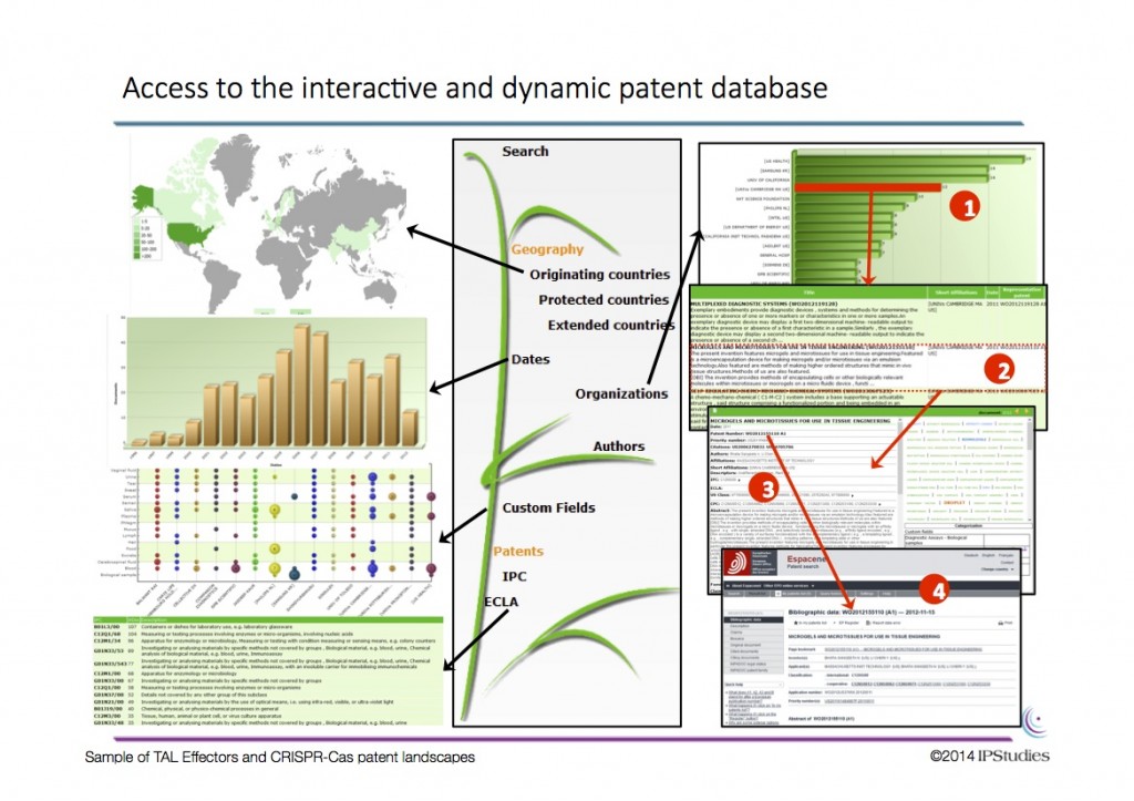 interactivedatabase